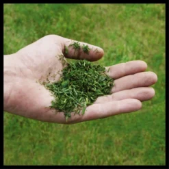 Einhell Power X-Change Akku-Rasenmäher GE-CM 36/48 Li M-Solo -Heimwerkzeuge 4006825660654 2171 07 1